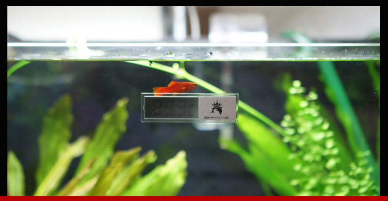 水晶温度计改色修改_15