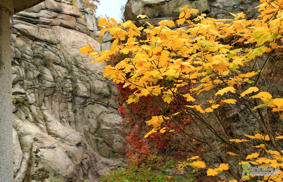 193733xooqzofdmfl1astr