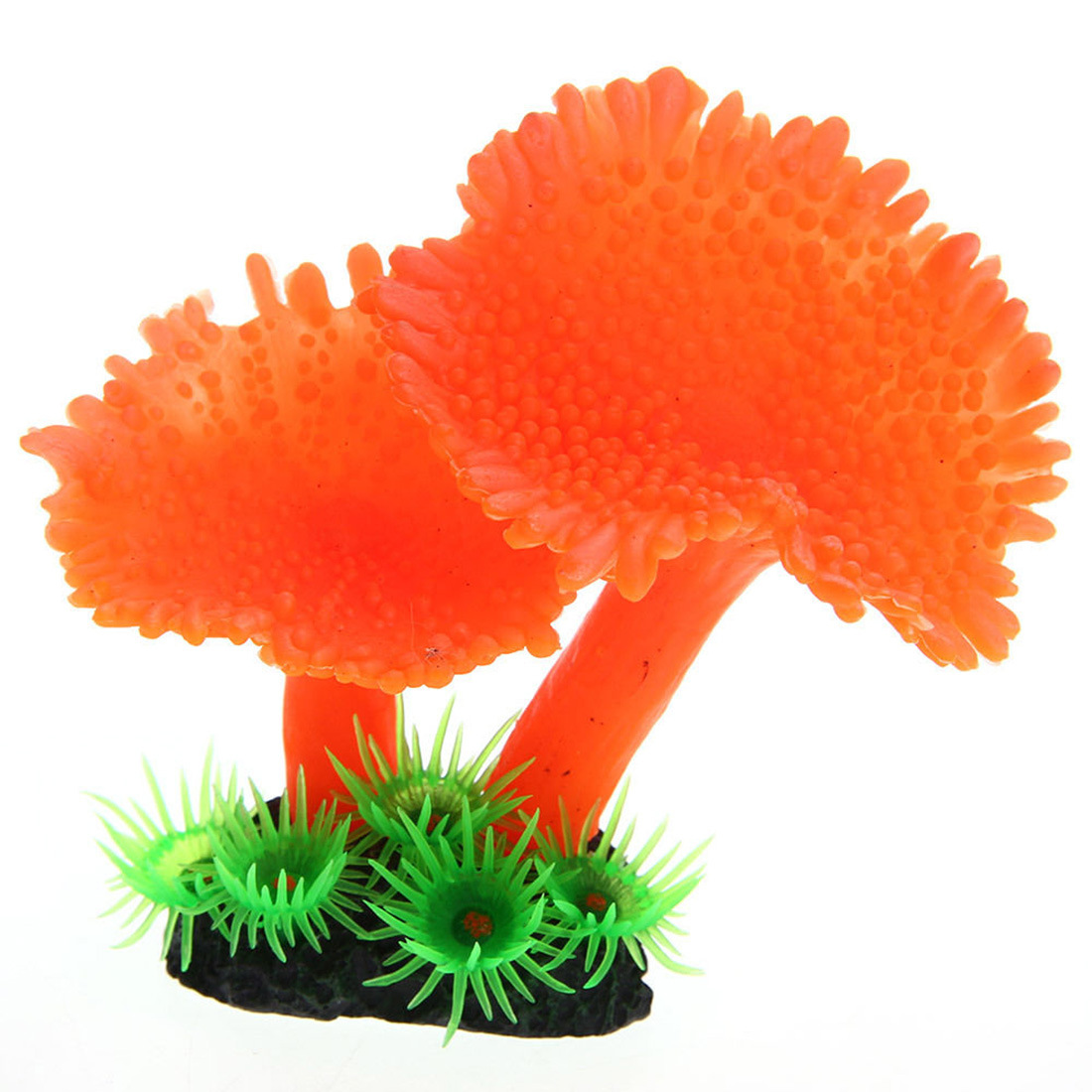 HTB1ebntIVXXXXXeXVXXq6xXFXXXx