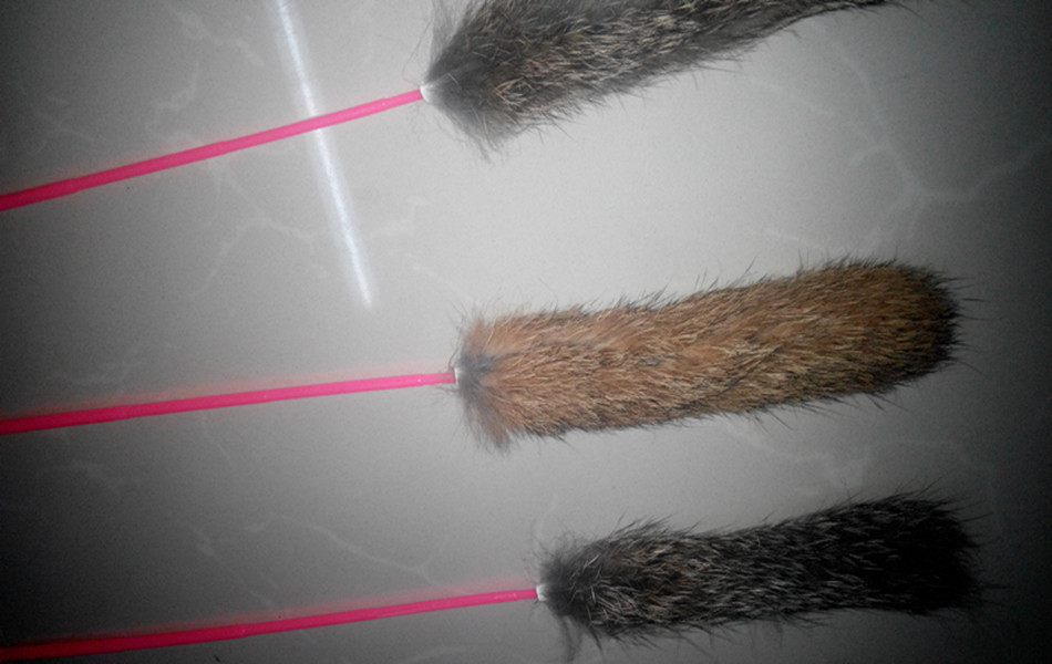 IMG_20150826_192755_副本