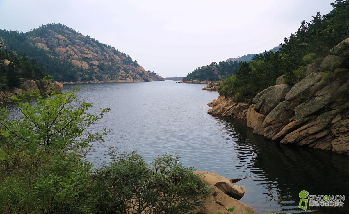 085658pc77c8ccog92grcg