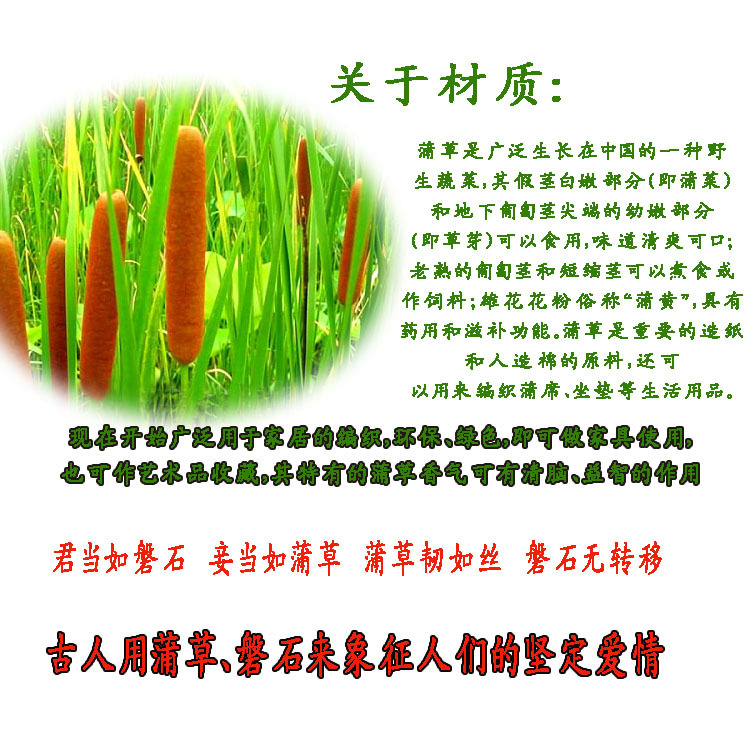 T2XJnrXFRaXXXXXXXX-1828167795