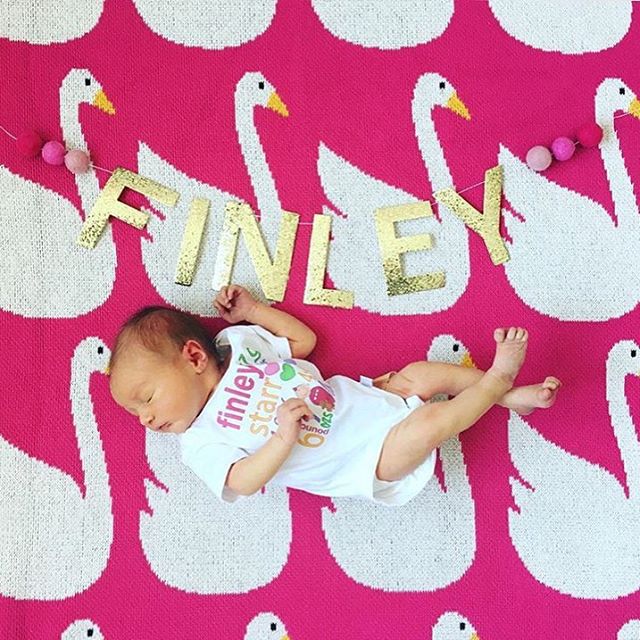 917840_1083066371743487_923943