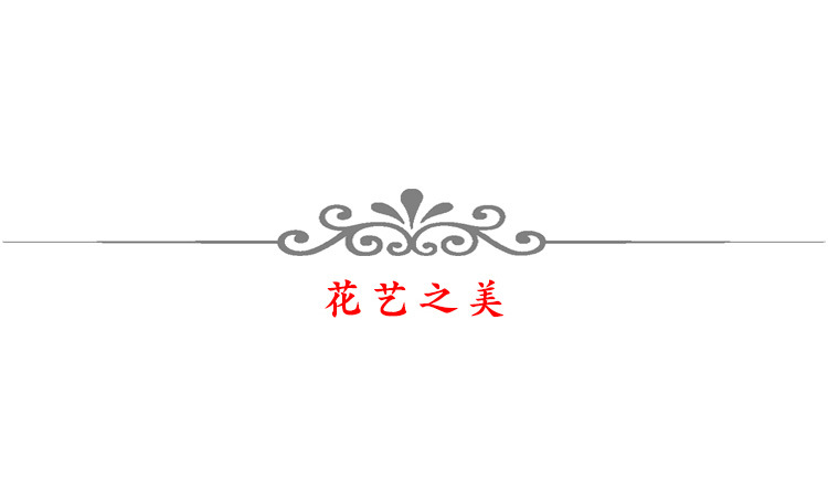 详情_55