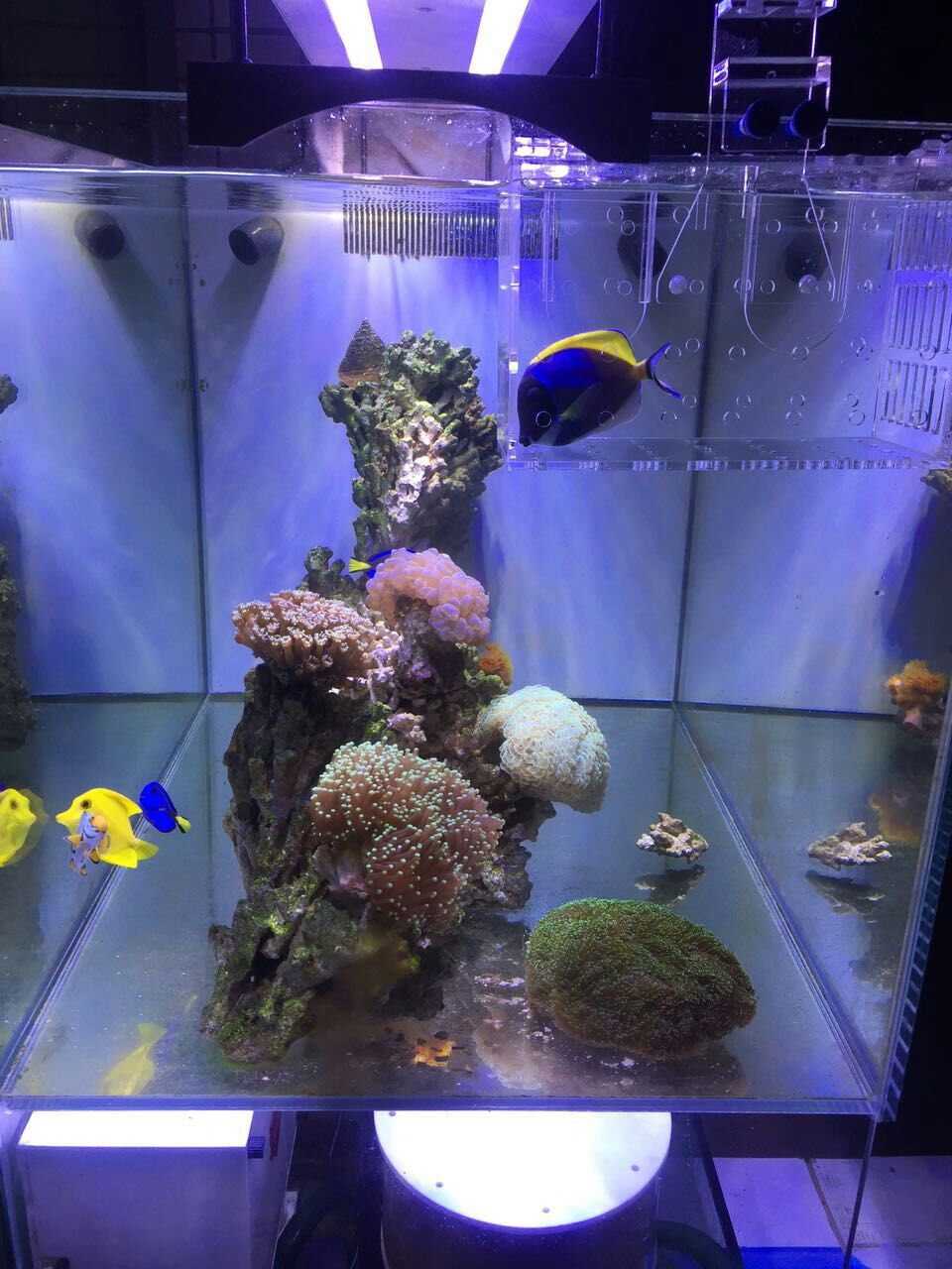 mmexport1463068262702