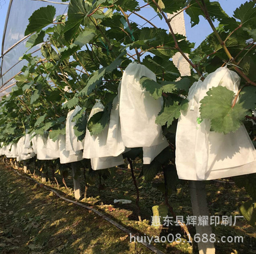 20151229095958_40539