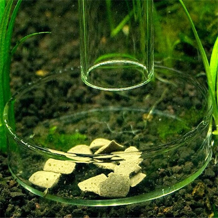 QQ图片20140610132642_副本