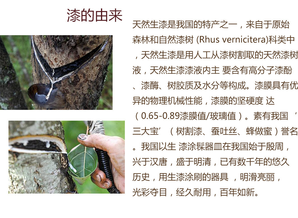 2030177434_809092891