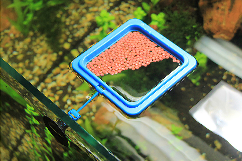 QQ图片20160318154533