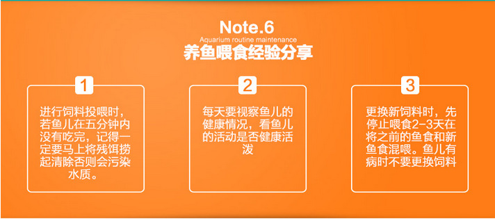 TB2rarOlpXXXXXOXpXXXXXXXXXX_!!