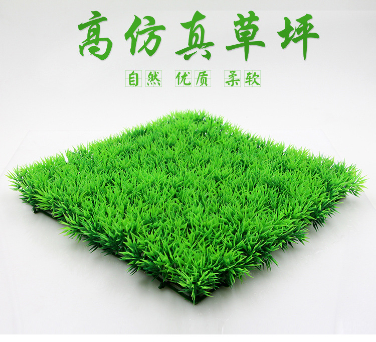 TB2GGq.pXXXXXajXXXXXXXXXXXX_!!