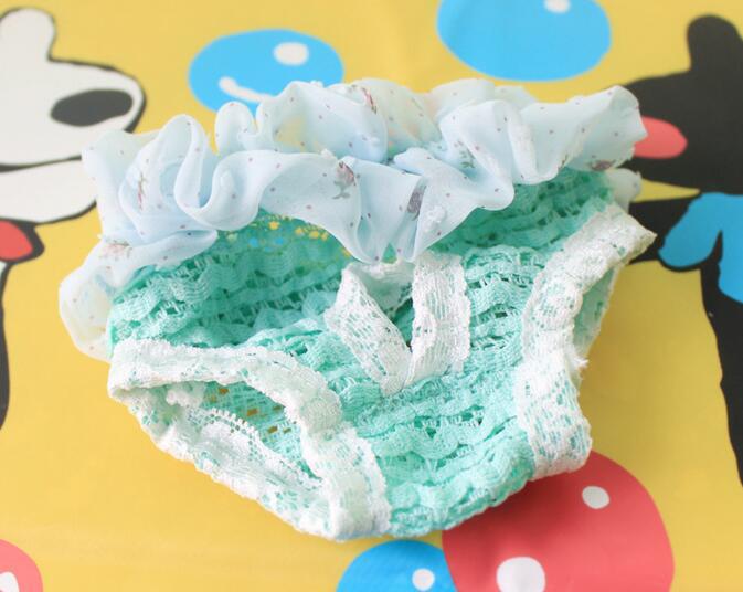 蕾丝宠物生理裤