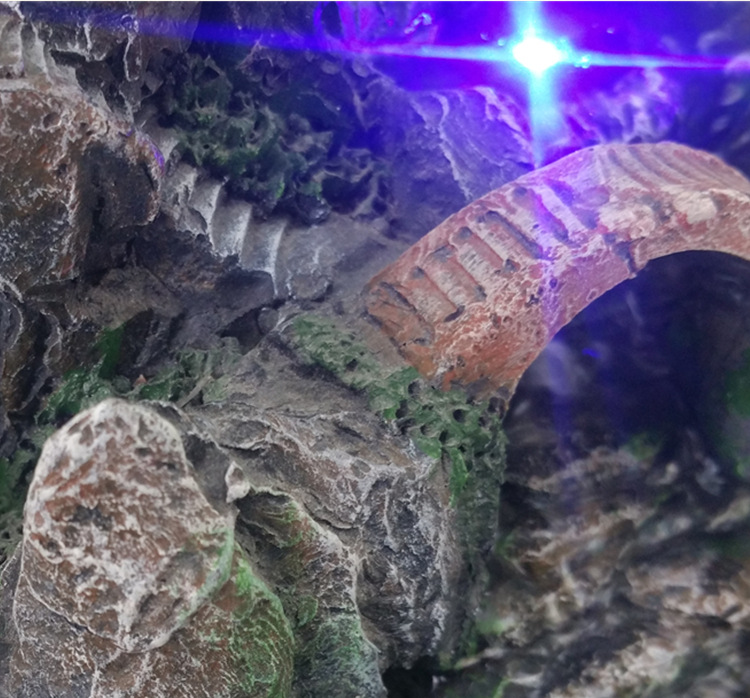 套图_副本_副本3