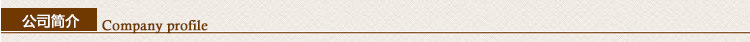 公司简介