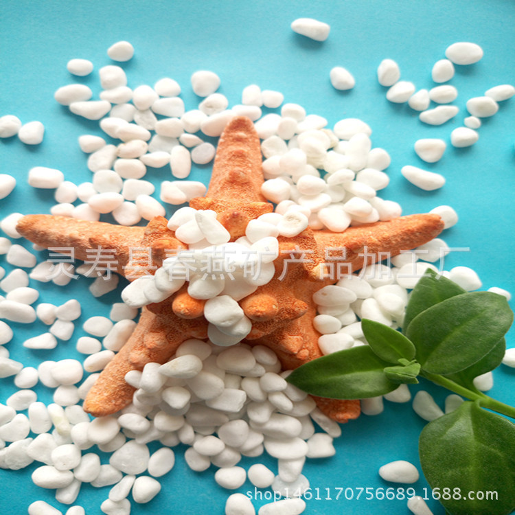 P60316-114102_副本