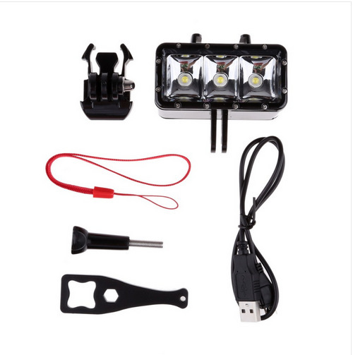 2770541739_1239820355