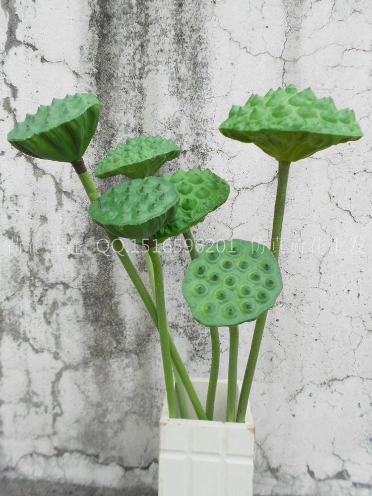 塑料莲蓬组合图 002