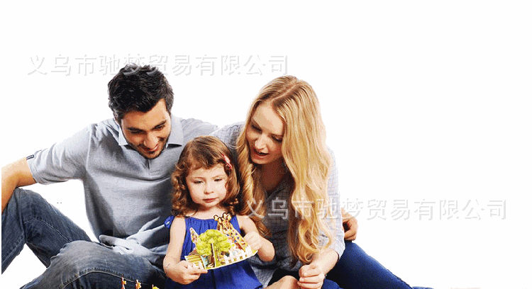 智立堡拼图 7