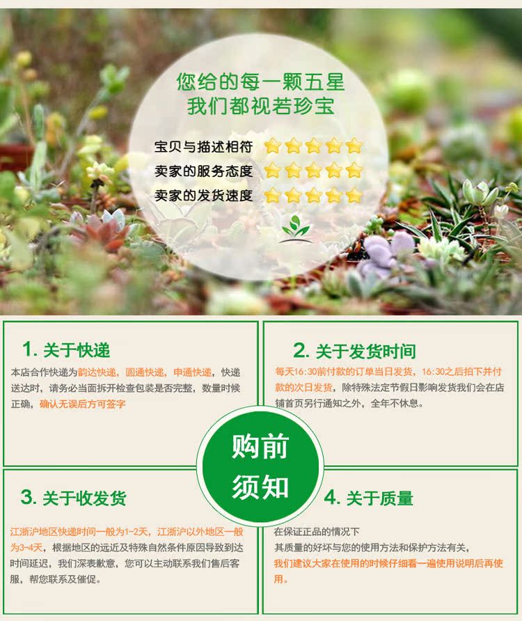 花盆28_07