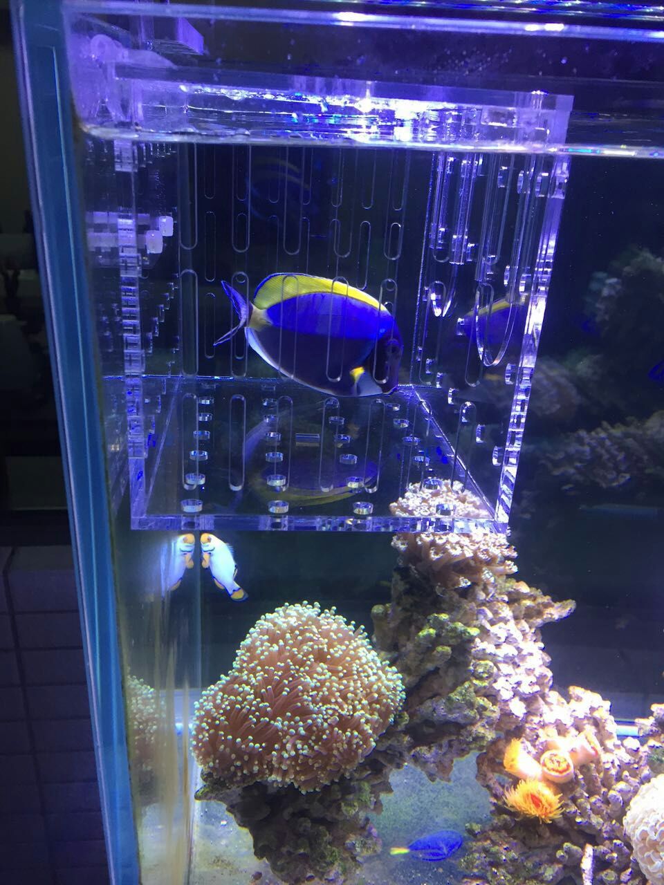 mmexport1463068260057