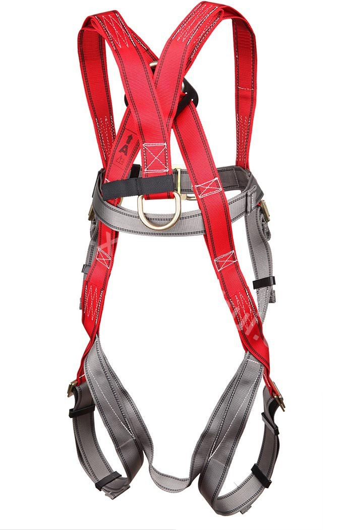 15133_P_1447227583107