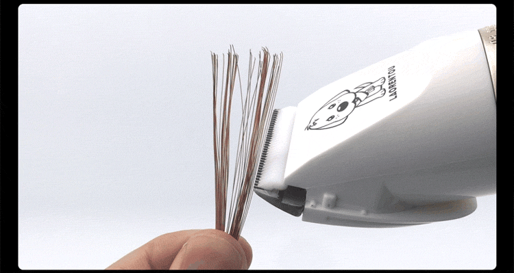 老人头B56宠物款详情750_07