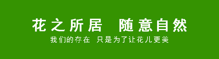 3花之所局 随意自然