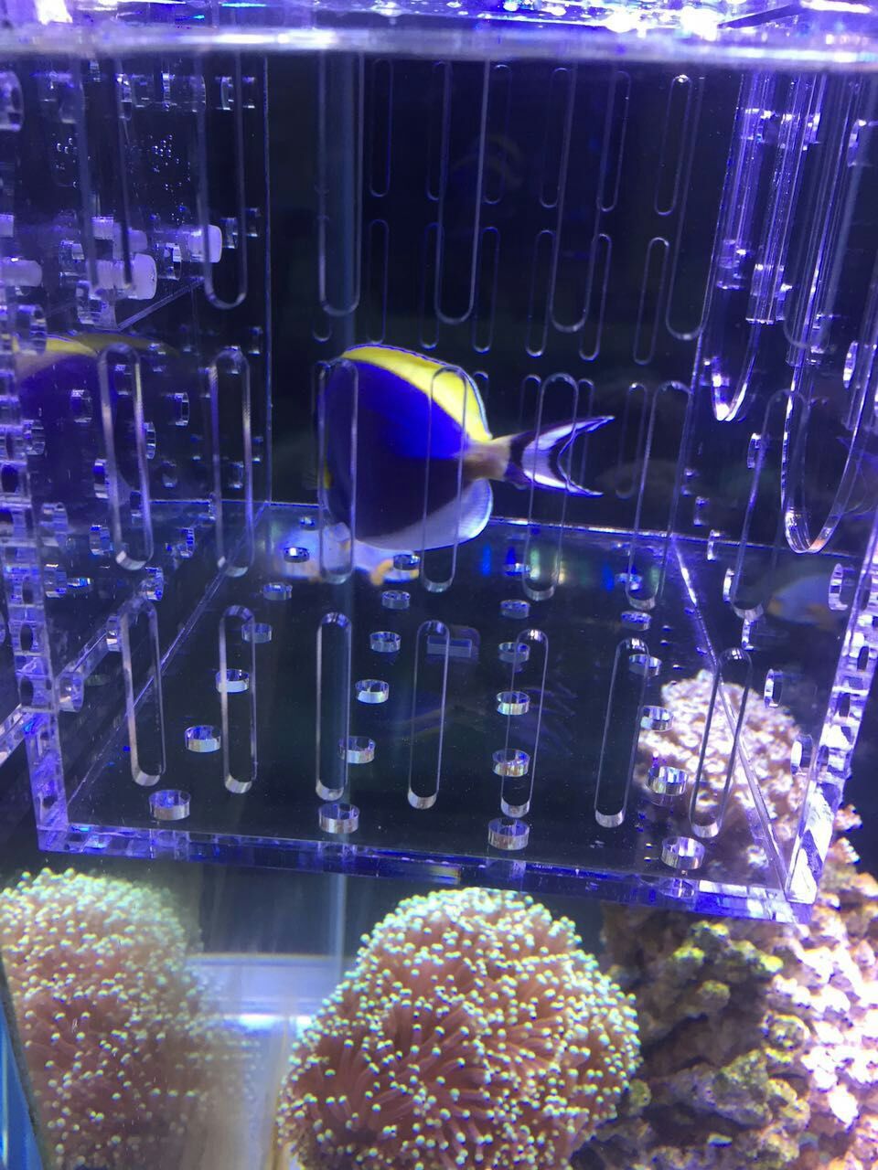 mmexport1463068273673