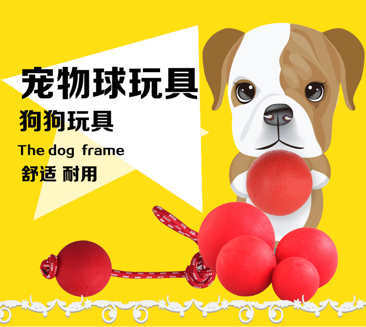 宠物球_01