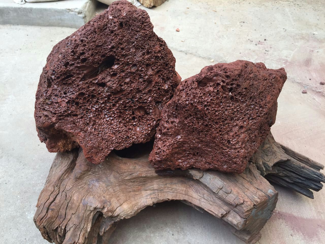 19F7718E6B2F0B355803A450B33617