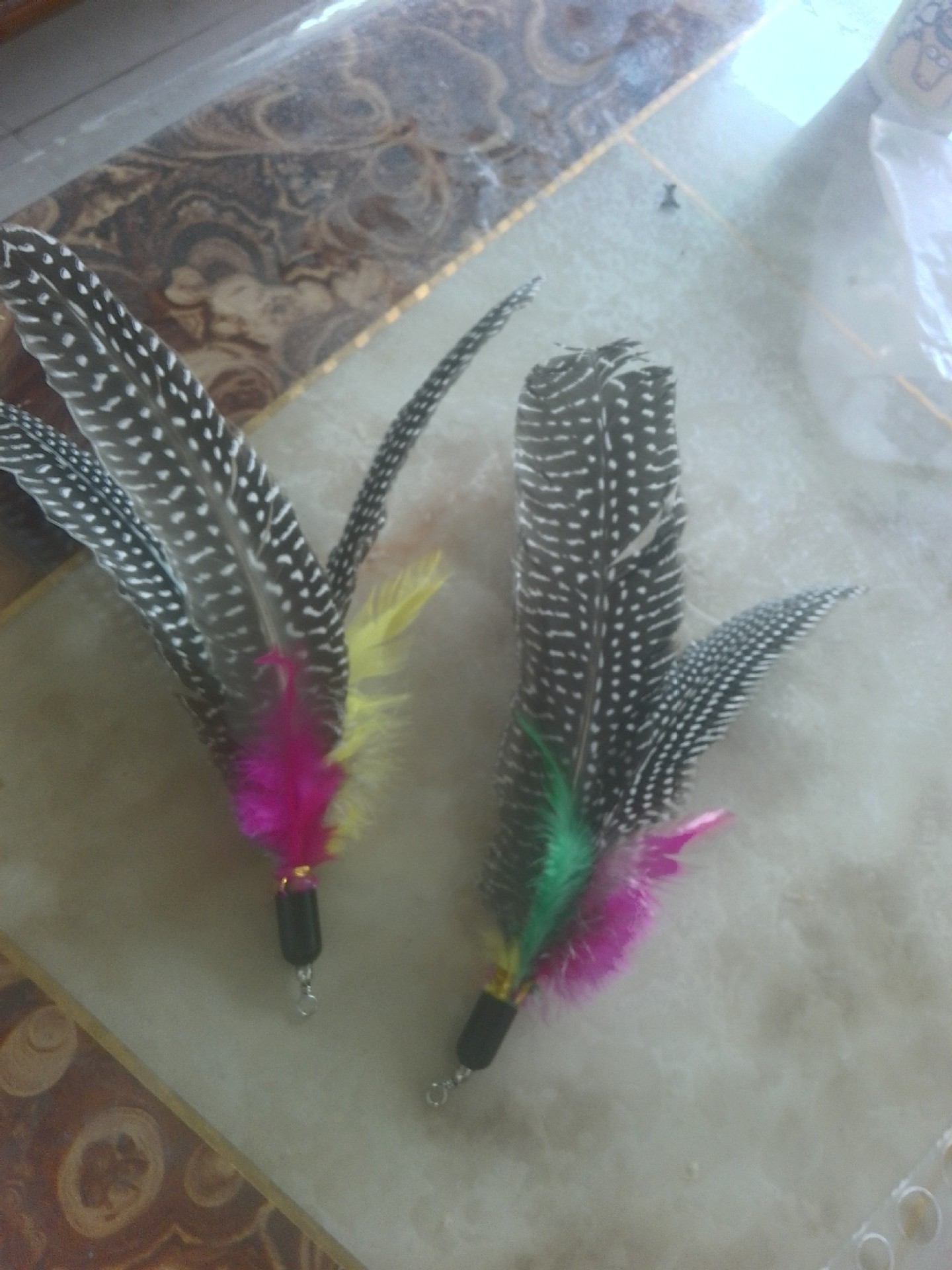 1IMG_20160604_071935_HDR