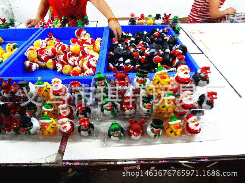 DSC01307