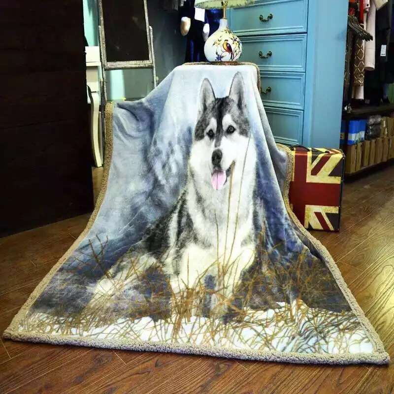 狼1