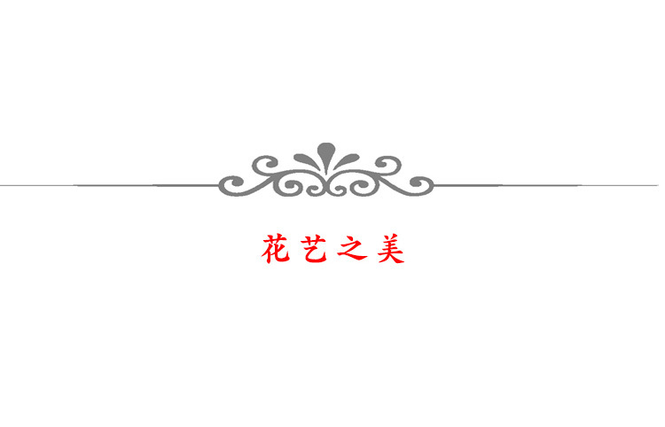 详情_20