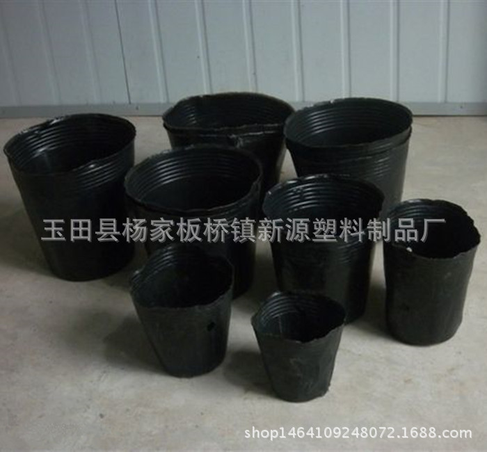 TB2Gfg8ppXXXXb8XpXXXXXXXXXX_!!