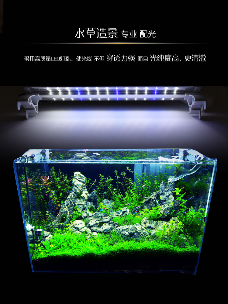 详1