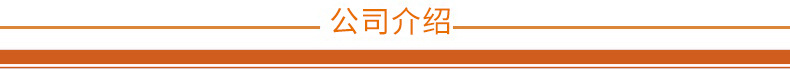 公司介绍