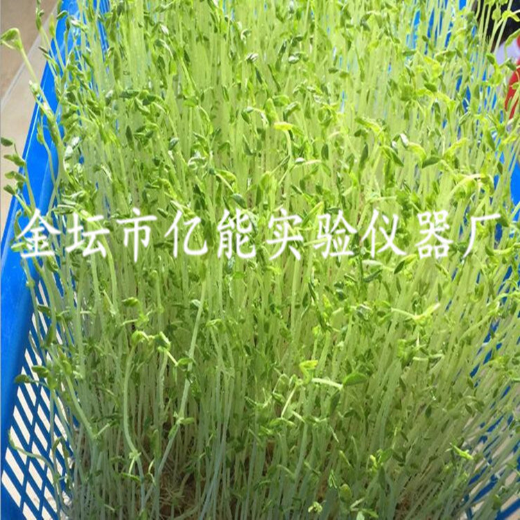 2G$~FU29CYQT[E@K$C))7IW_副本_副本