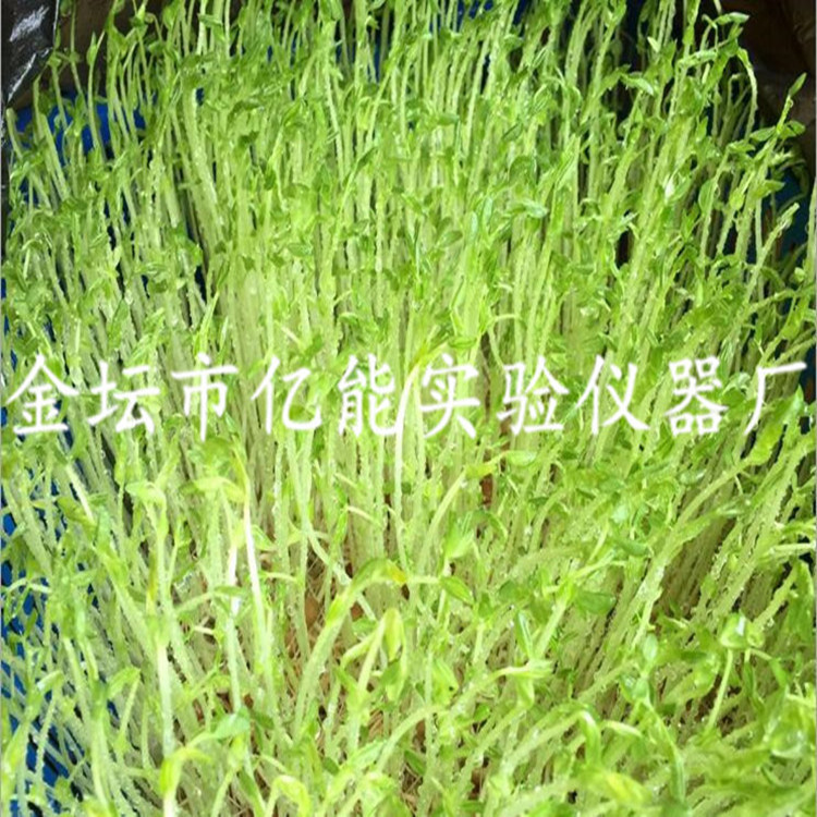 4O$KRKND)~F{NZDG)J$QJZO_副本_副本