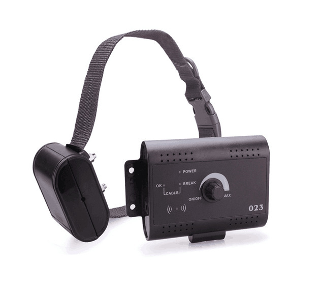 2629275859_888720359