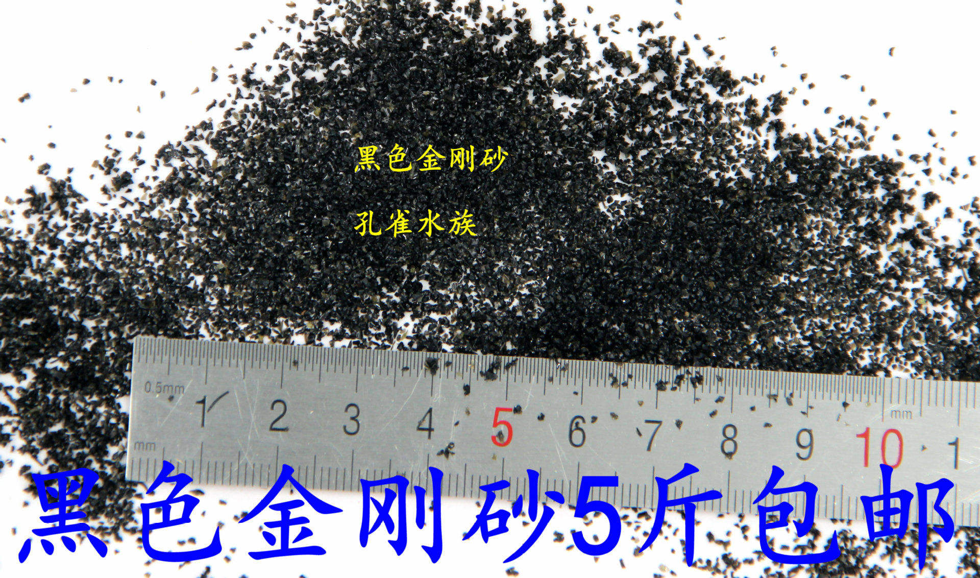 IMG_9305_副本_副本