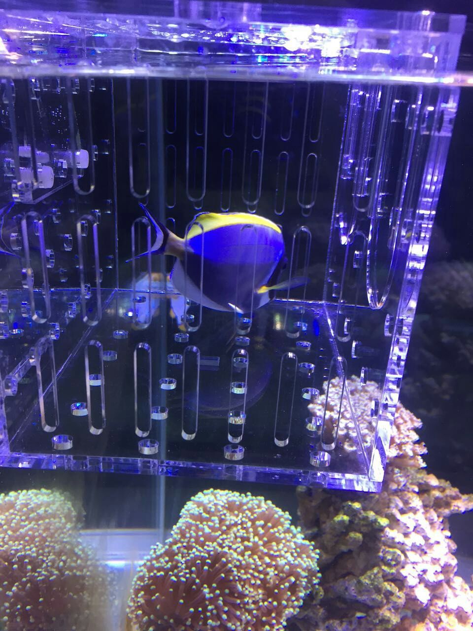 mmexport1463068271220