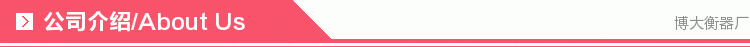 博大公司介绍