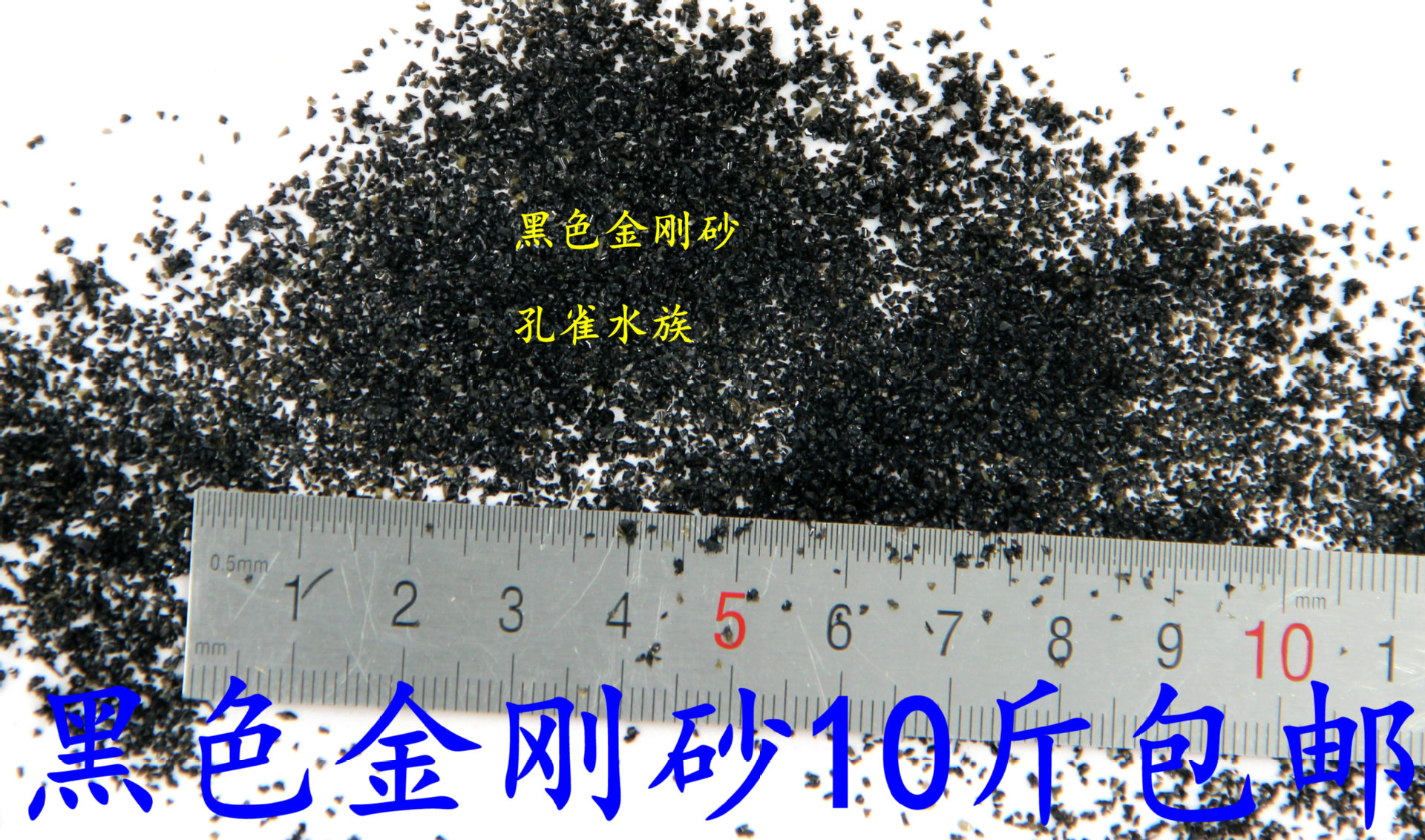 IMG_9305_副本_副本1