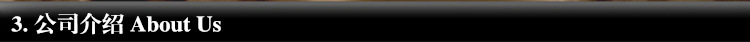 公司介绍