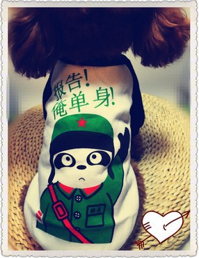 gWmWivOiz9St5JW+ZAY9YI7bAIS8qSqrZLzU