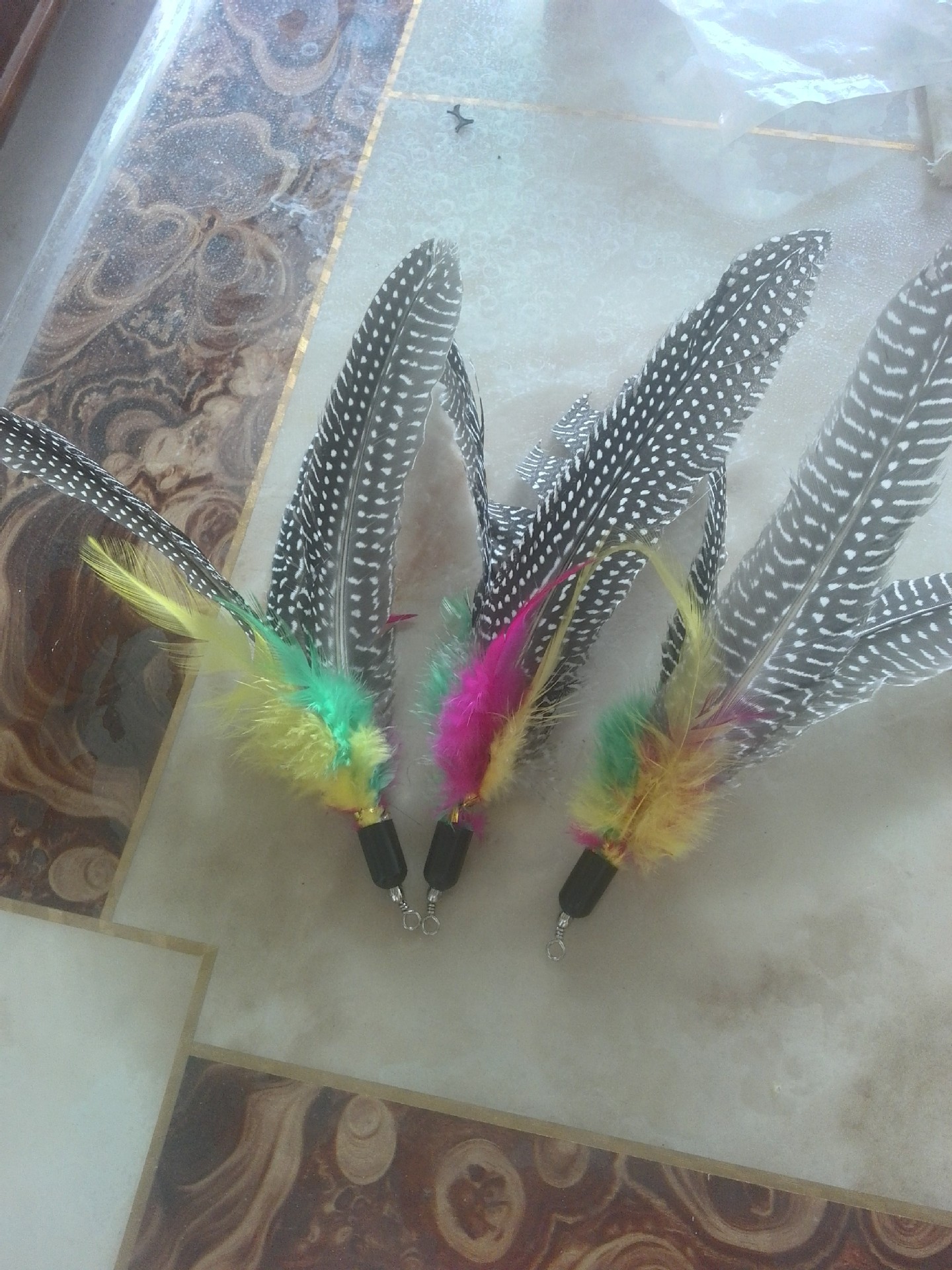 1IMG_20160604_072001_HDR