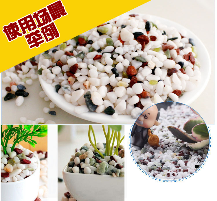 3568102232_2086921367