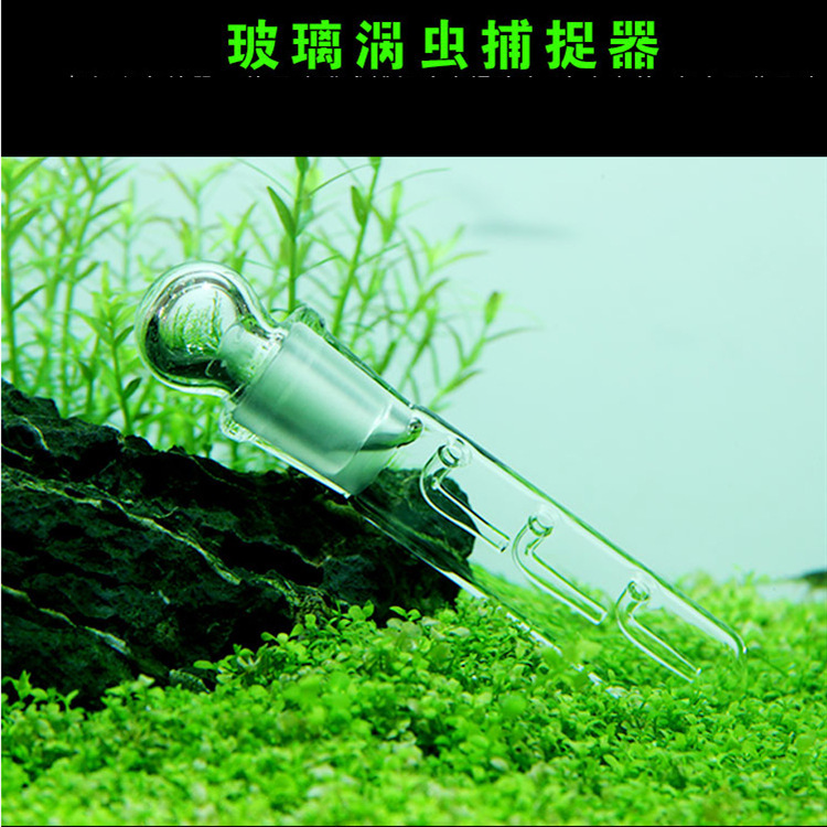 QQ图片20160401212016_副本