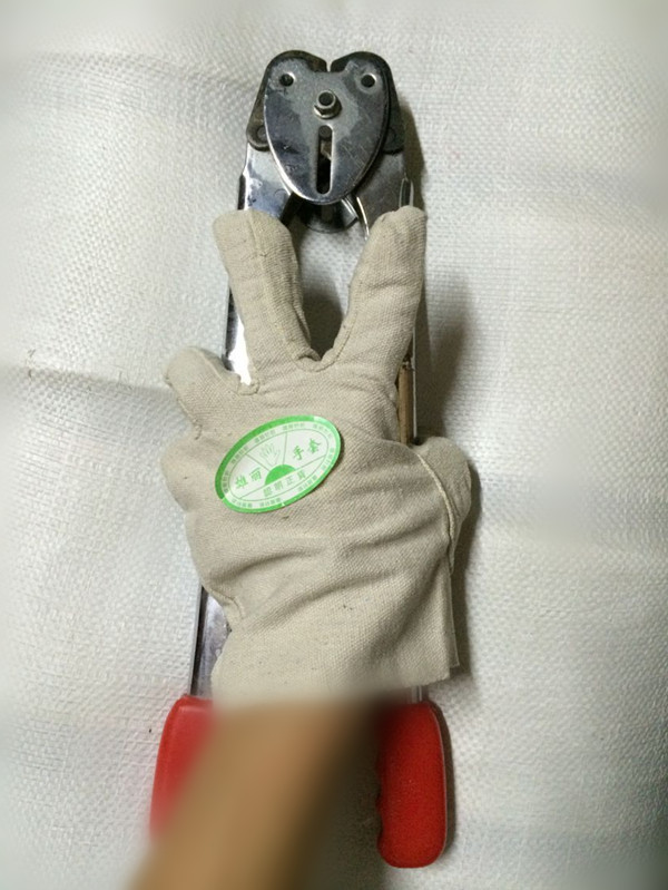 QQ图片20160321134635_副本